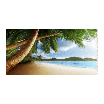 Palm Tree Beach License Plate