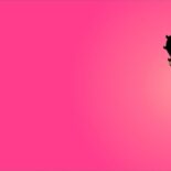 betty boop pink