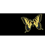 butterfly license plate